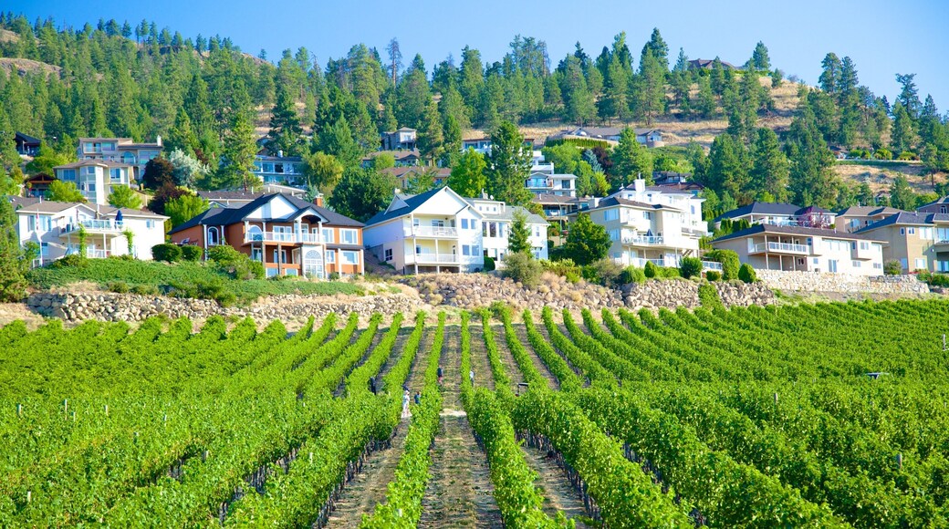 Quails\' Gate Estate Winery bevat akkerland en een huis