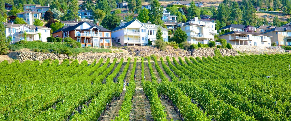 Quails\' Gate Estate Winery showing a house and farmland