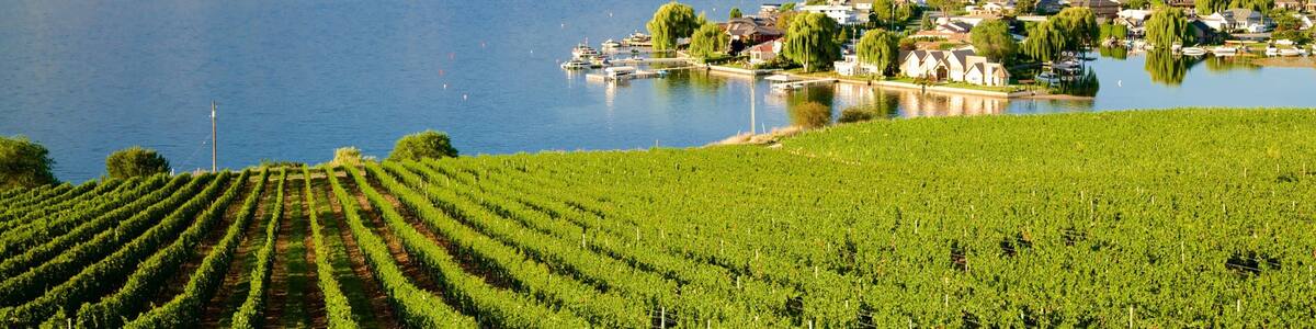 Quails\' Gate Estate Winery which includes a river or creek and farmland