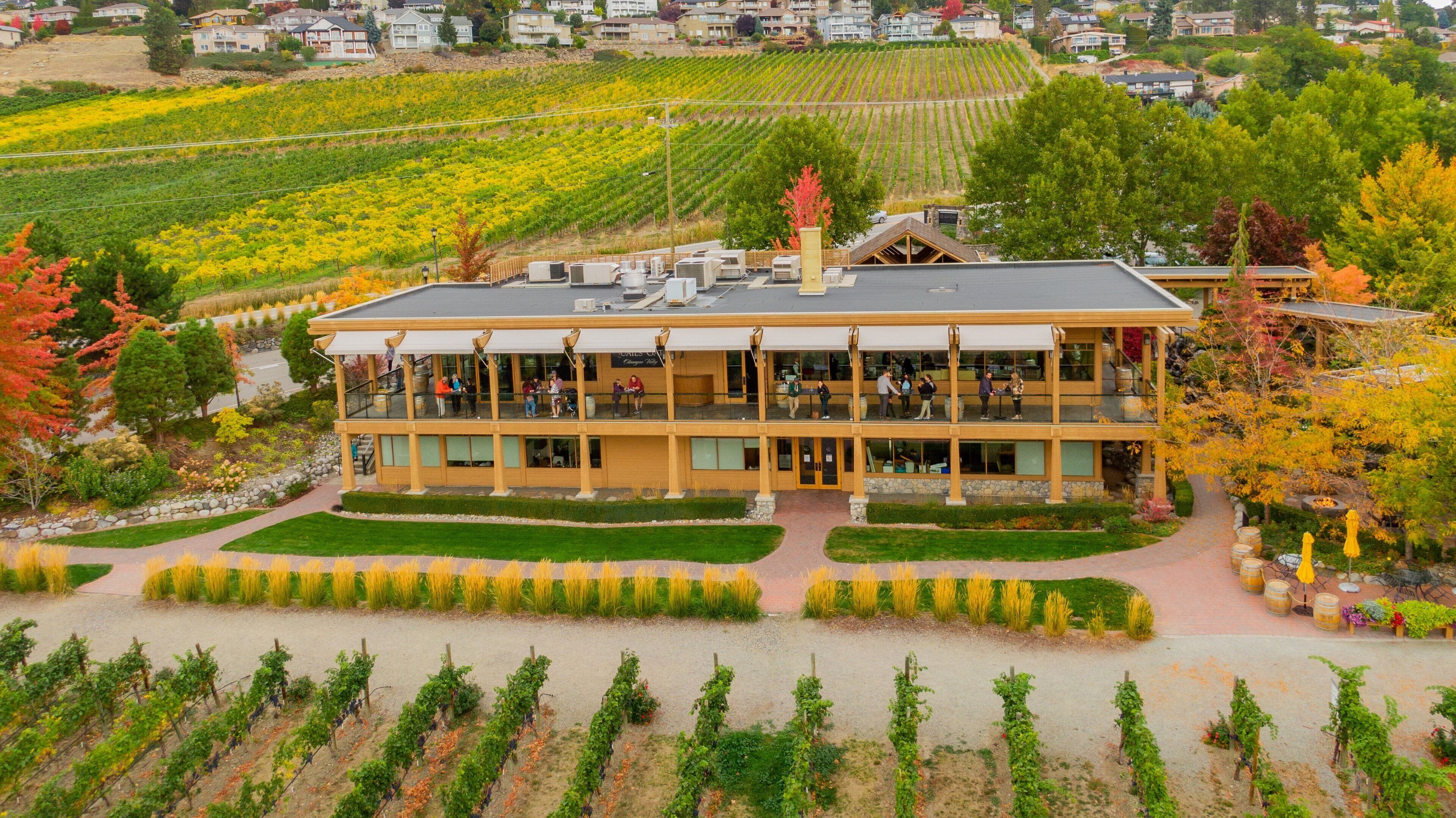 Quails\' Gate Estate Winery featuring landscape views and farmland