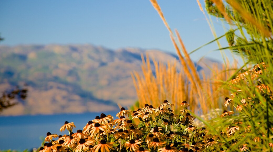 Quails\' Gate Estate Winery inclusief bloemen