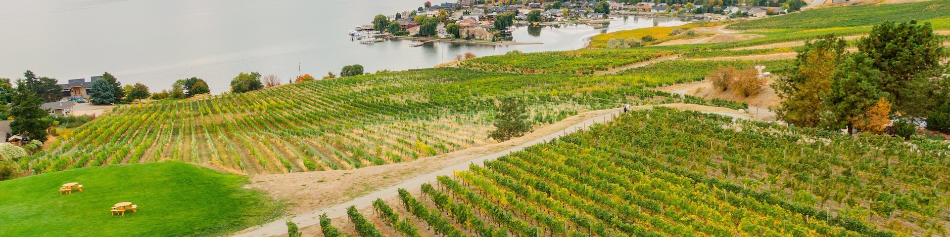 Quails\' Gate Estate Winery showing a river or creek, farmland and landscape views