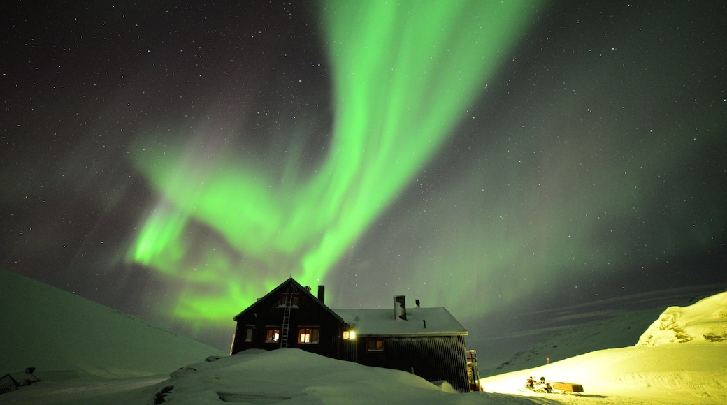 Bjorkliden Fjallby Ski Resort showing snow, night scenes and northern lights