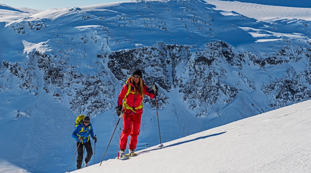 Bjorkliden Fjallby Ski Resort which includes snow, snow skiing and mountains