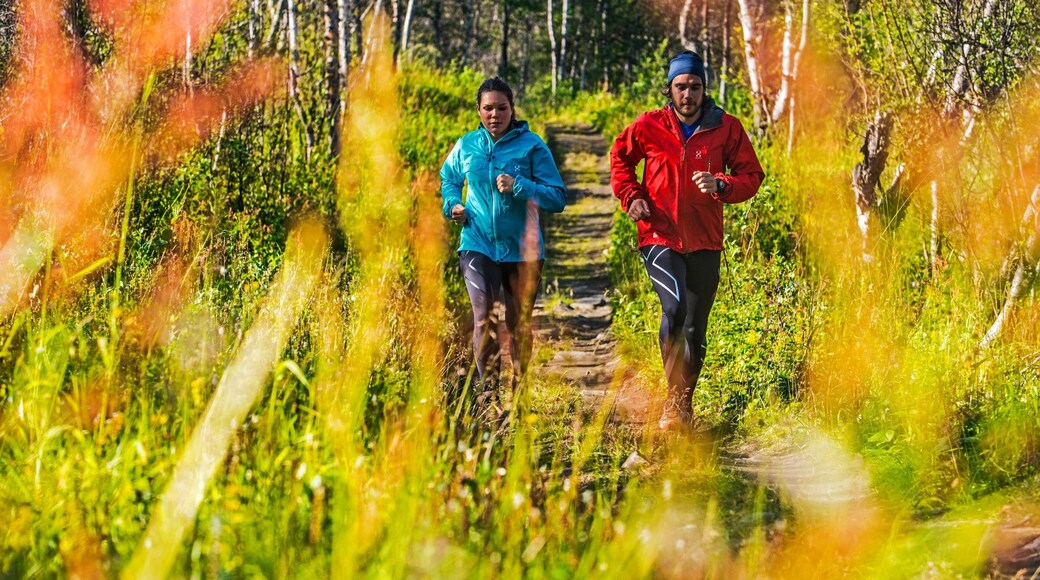 Bjorkliden Fjallby Ski Resort featuring hiking or walking as well as a small group of people