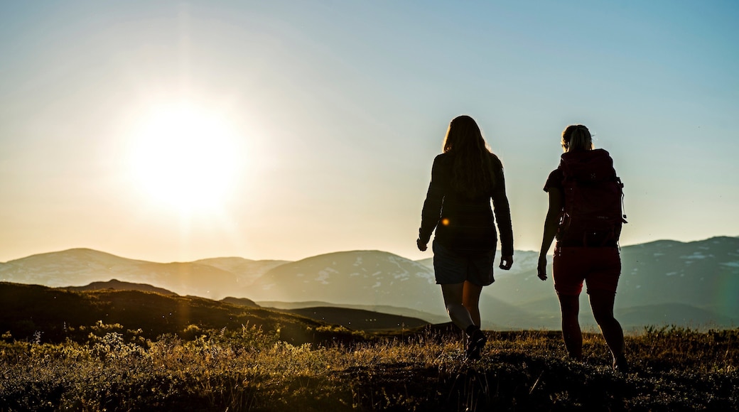 Bjorkliden Fjallby Ski Resort featuring hiking or walking and a sunset as well as a small group of people