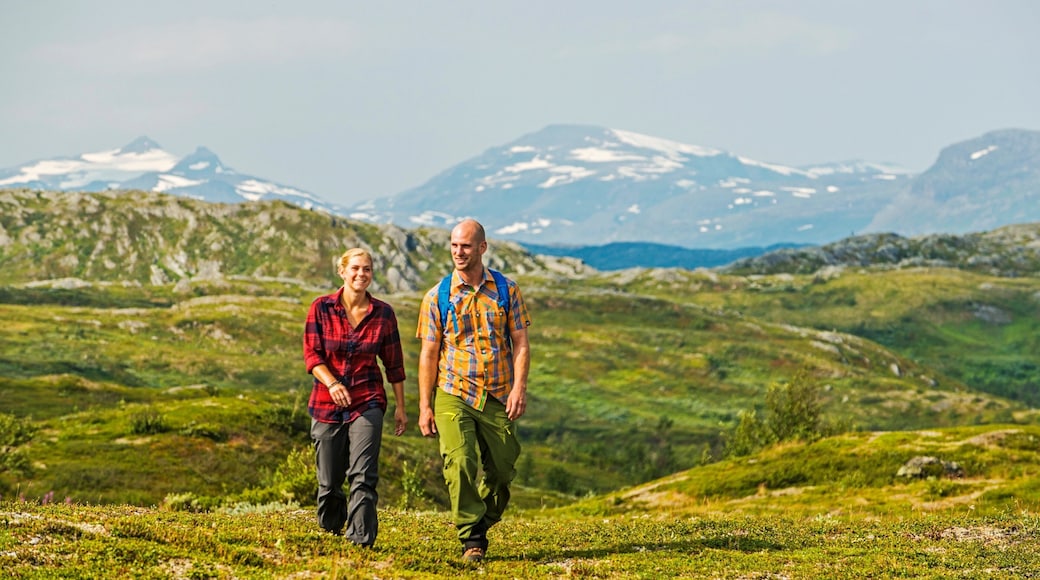 Bjorkliden Fjallby Ski Resort showing hiking or walking and tranquil scenes as well as a small group of people