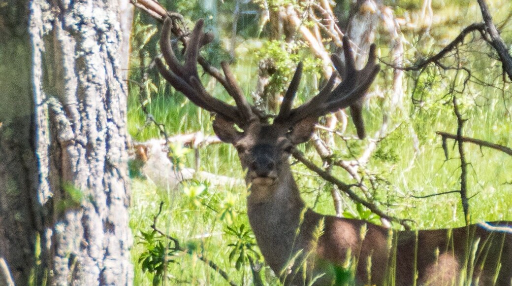 Une belle rencontre lors de la visite de la réserve
