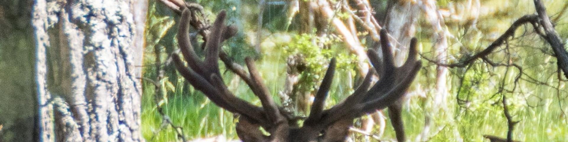 Une belle rencontre lors de la visite de la réserve