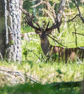 Une belle rencontre lors de la visite de la réserve