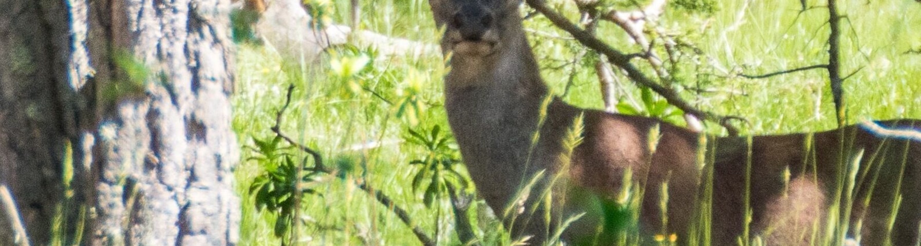 Une belle rencontre lors de la visite de la réserve
