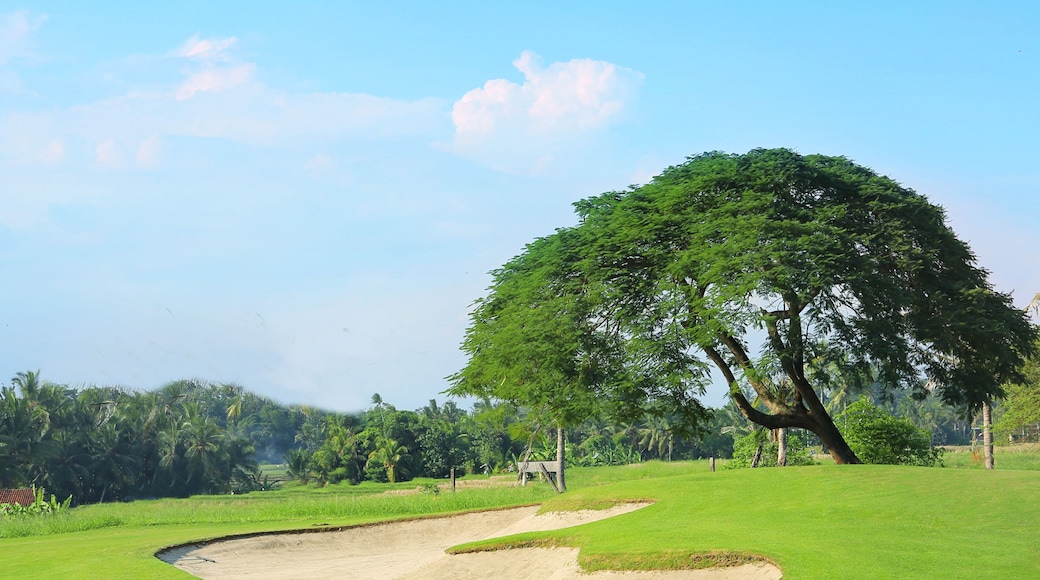 Fiji Golf Club