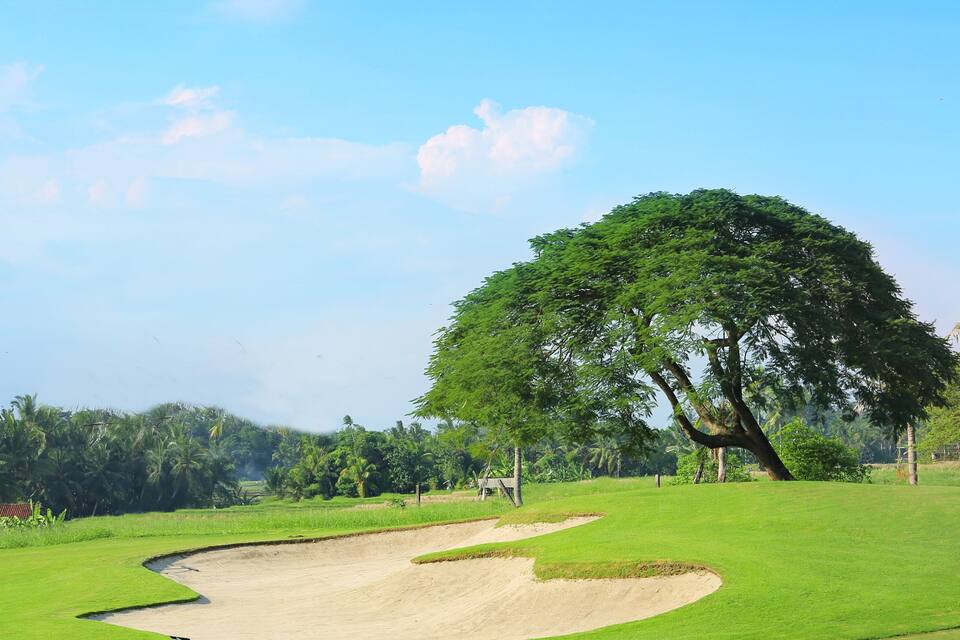 Un campo de golf con un árbol grande y búnkeres de arena.
