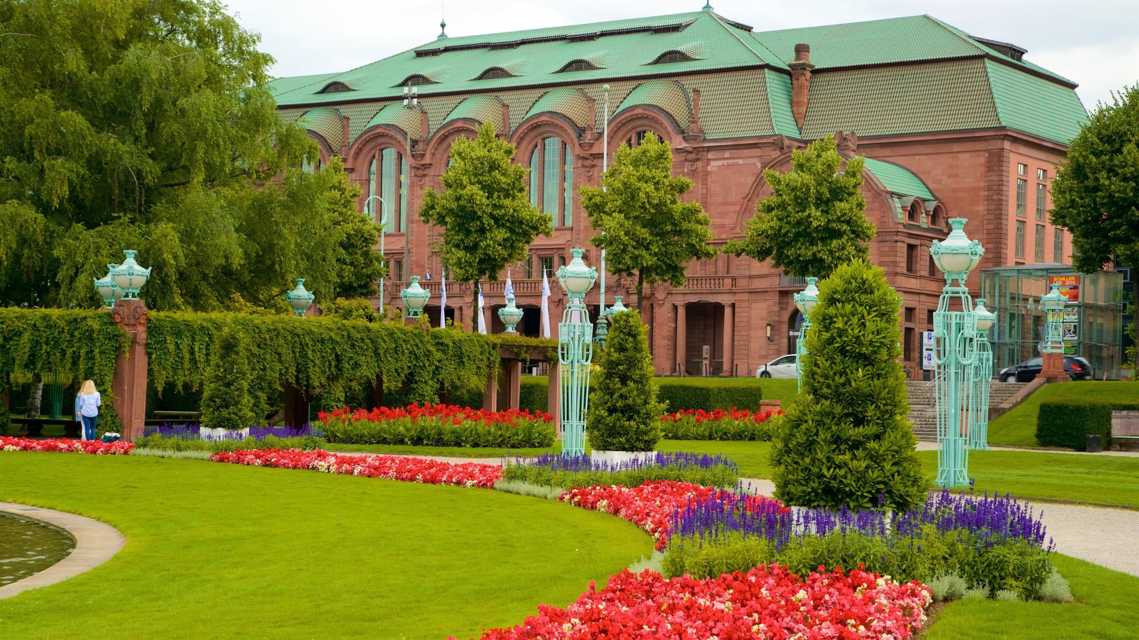 Friedrichsplatz showing a park, heritage elements and flowers