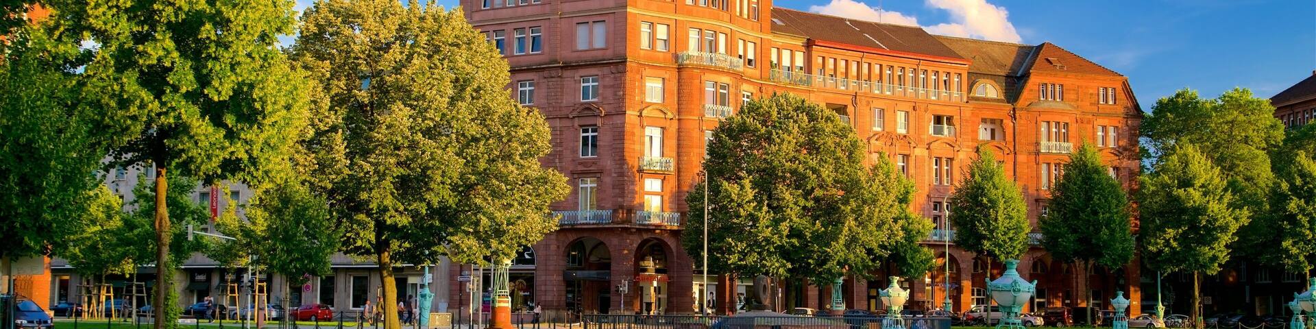 Friedrichsplatz welches beinhaltet Sonnenuntergang, Geschichtliches und Garten