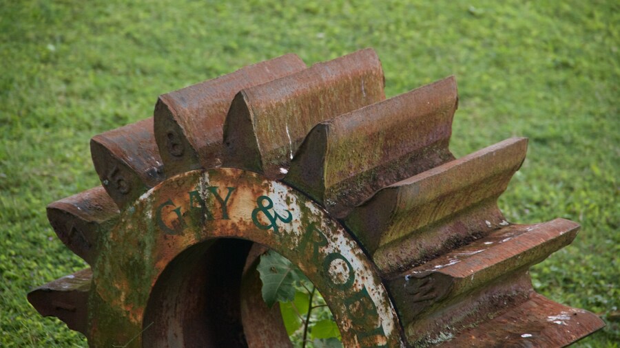 Kilohana Plantation showing heritage elements