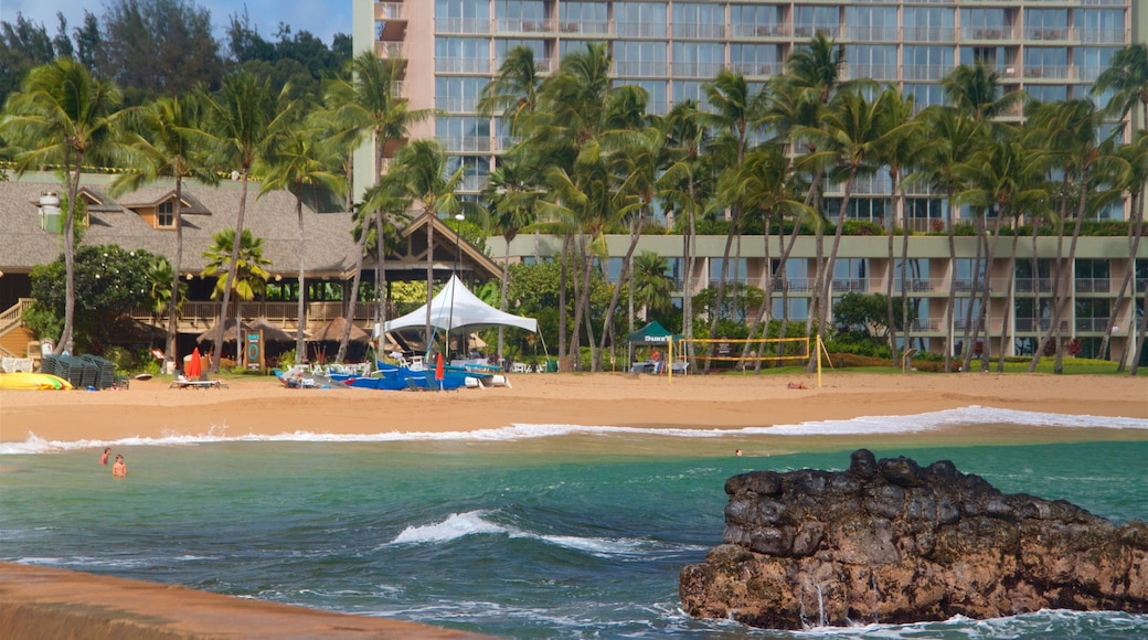 Playa Kalapaki que incluye vistas de una costa, escenas tropicales y una playa