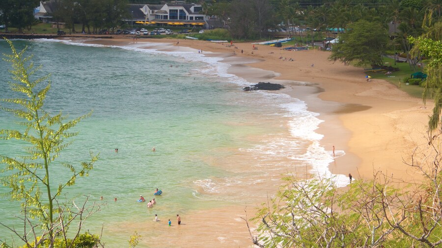 Kalapaki Beach featuring a sandy beach