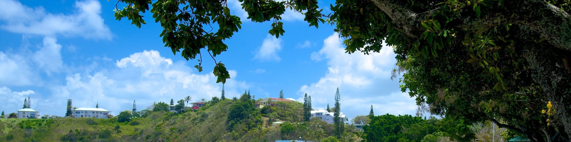 Baie des Citrons which includes a bay or harbor and a sandy beach as well as a large group of people