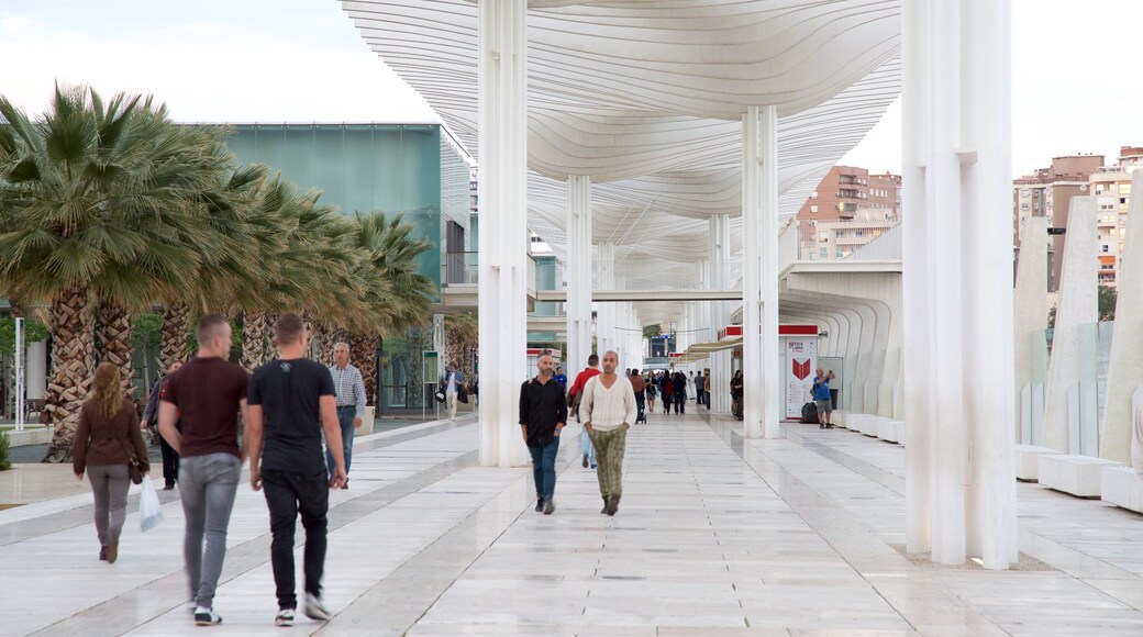 Port of Malaga which includes modern architecture as well as a large group of people