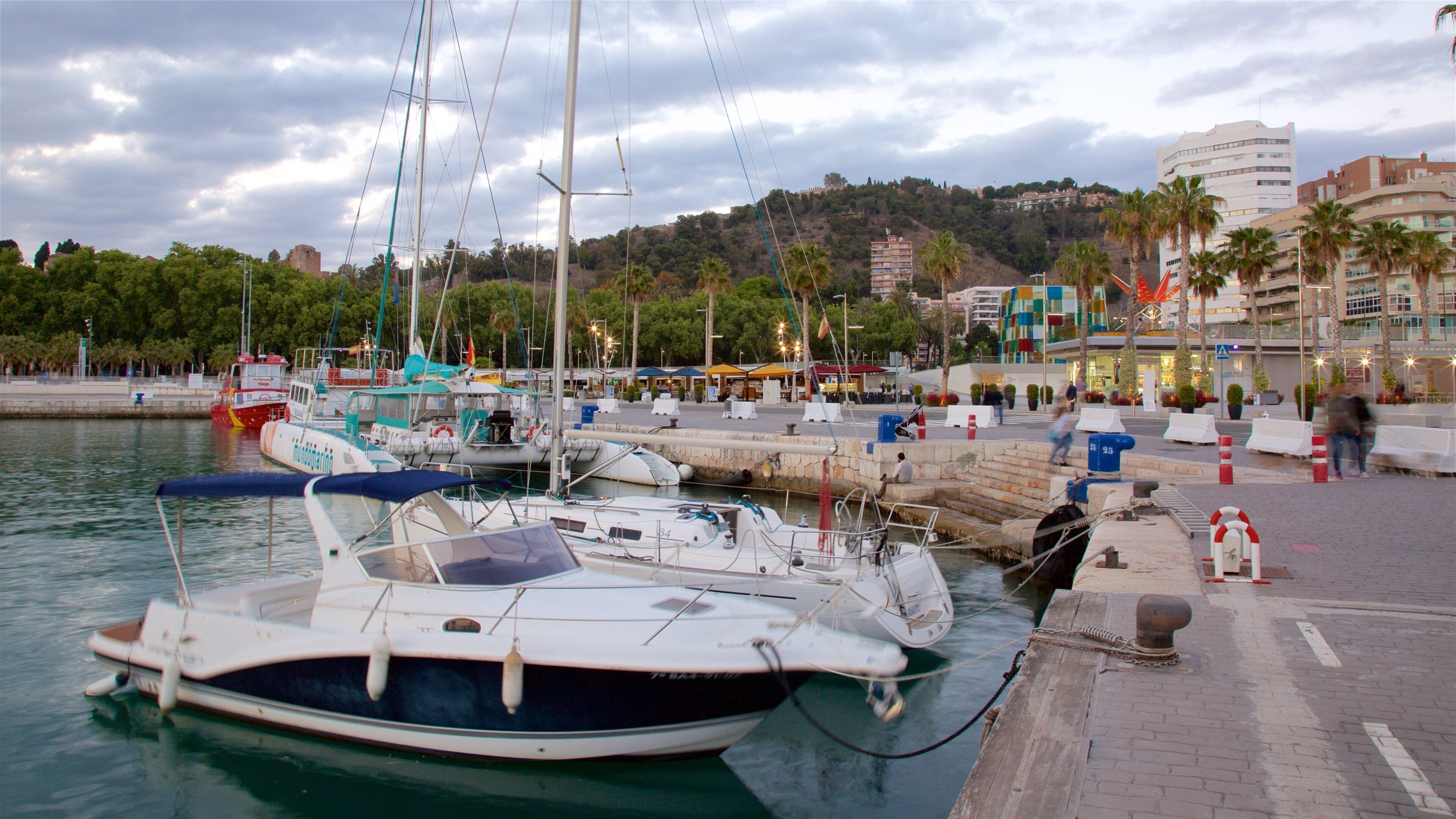 Puerto de Málaga mostrando embarcaciones, un puerto deportivo y vistas de una costa