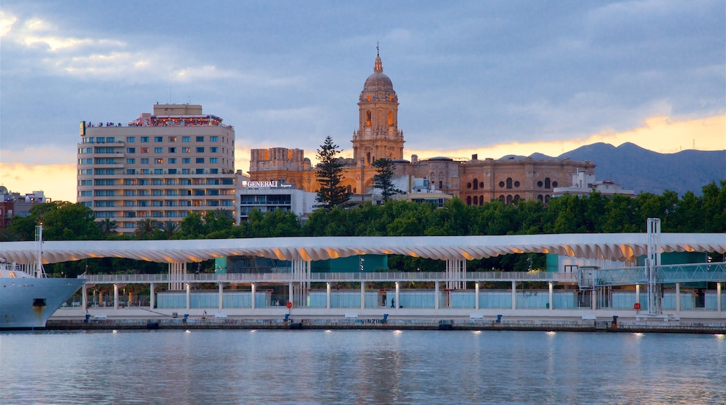 Port of Malaga showing general coastal views and a city