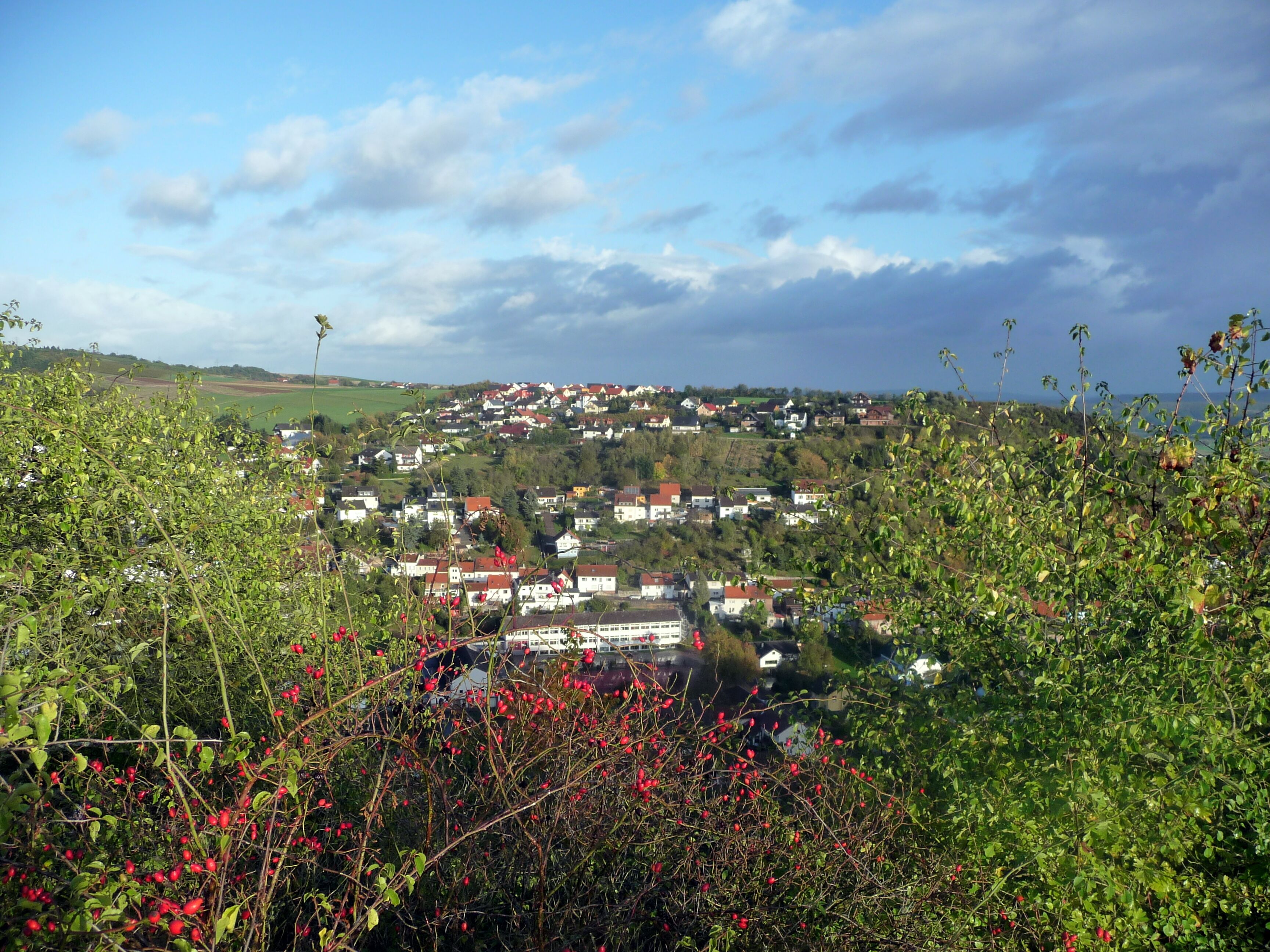Monzingen 4 – 16.10.2009