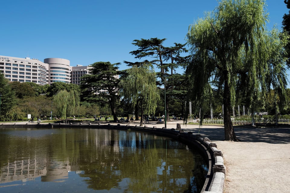 Ein Park mit Teich, Bäumen und modernen Gebäuden im Hintergrund.