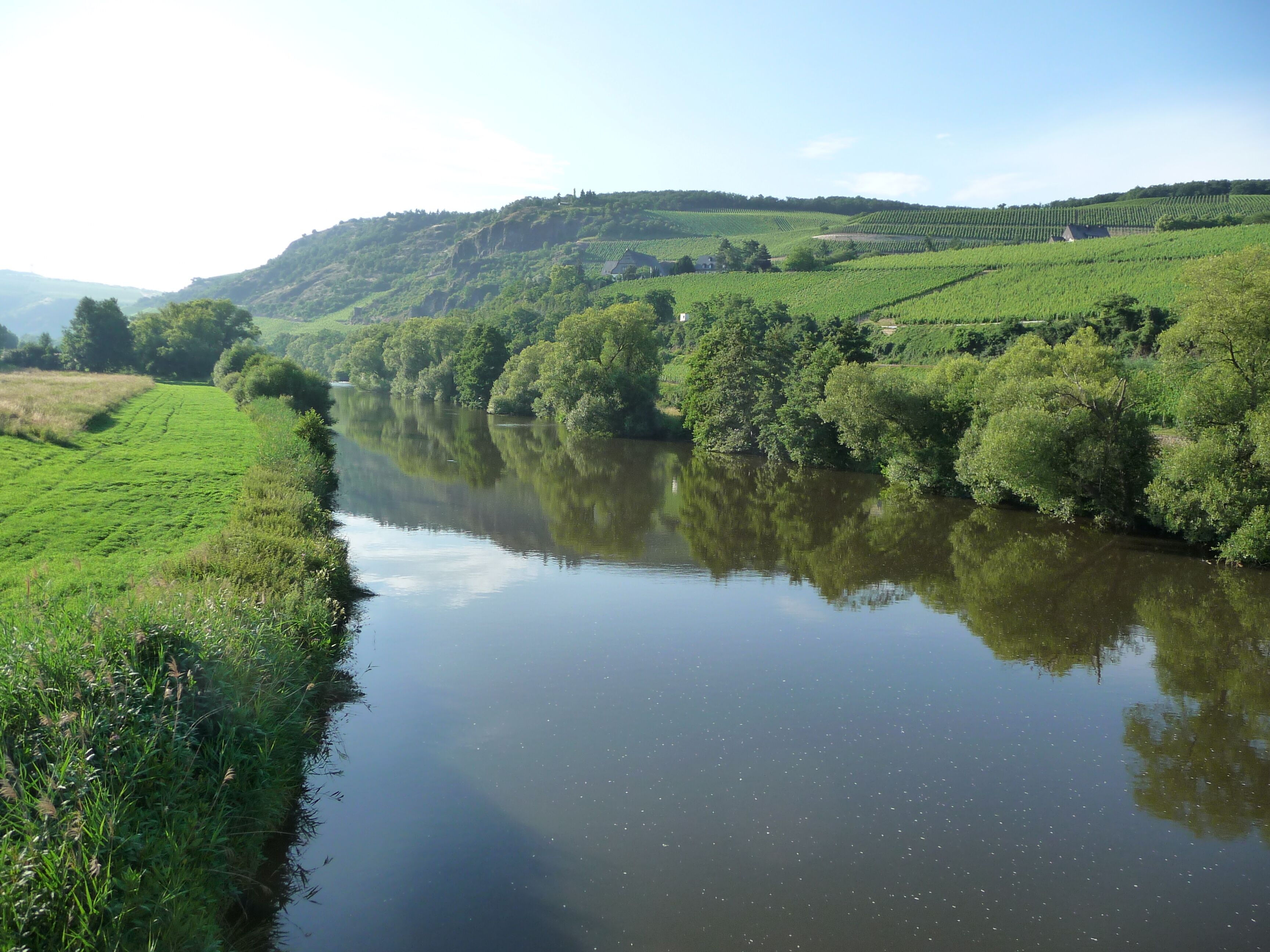 Die Nahe bei Oberhausen an der Nahe