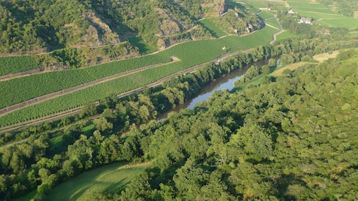 Die Nahe bei Oberhausen