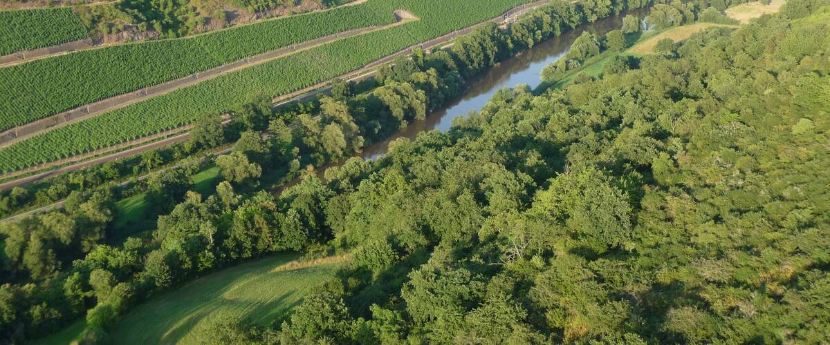 A river winding through a valley with terraced vineyards and a small building on a hill.