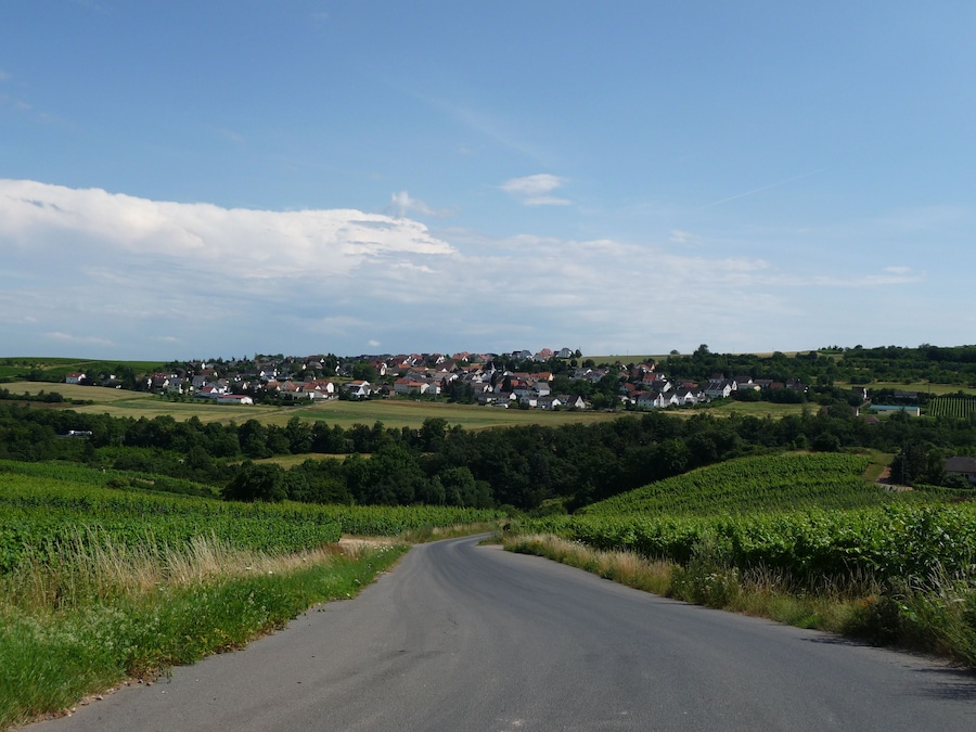 Un camino rural serpentea por campos verdes, con un pueblo a lo lejos.