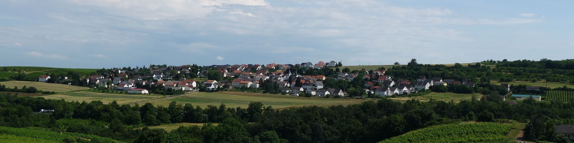 A rural road curving through green fields with a village in the distance.