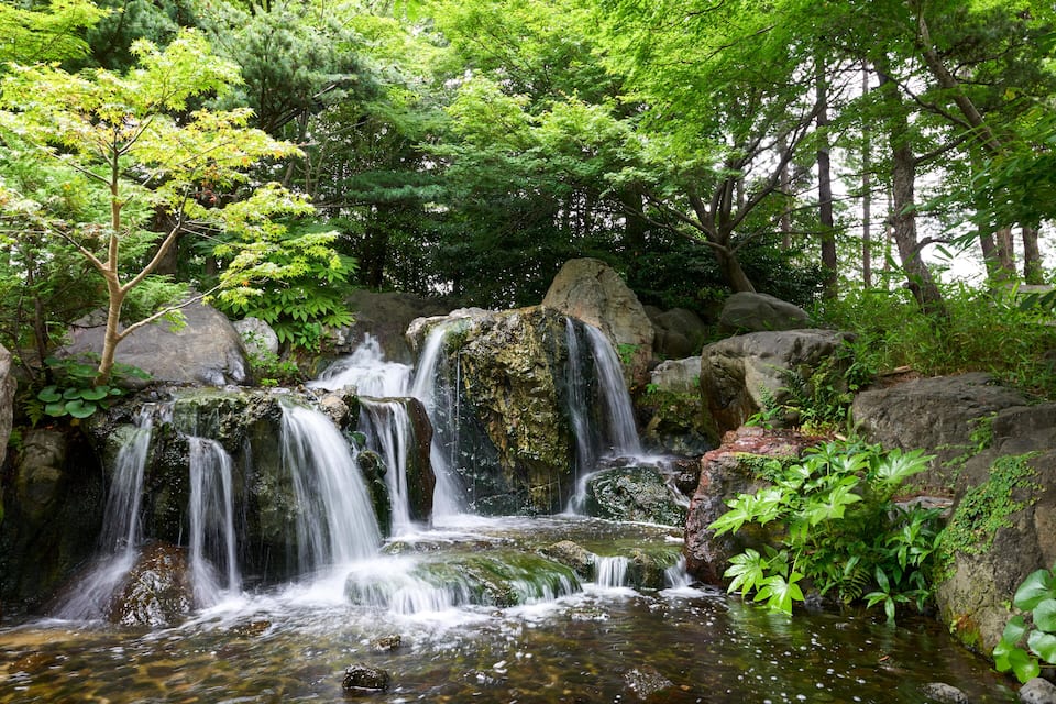 A waterfall cascading over rocks in a lush, green forest.