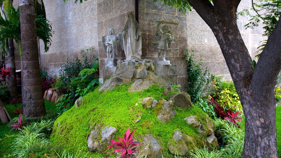 Church of Saint Francis which includes a garden