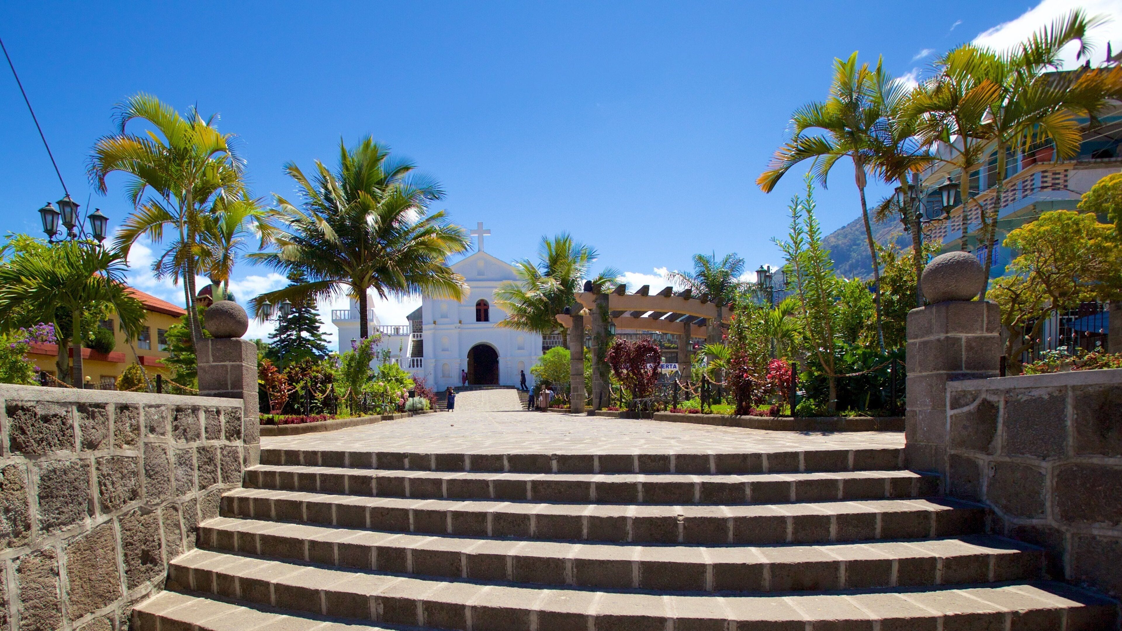 A set of stone steps leading to a white church with a dome, surrounded by palm trees and colorful flowers.