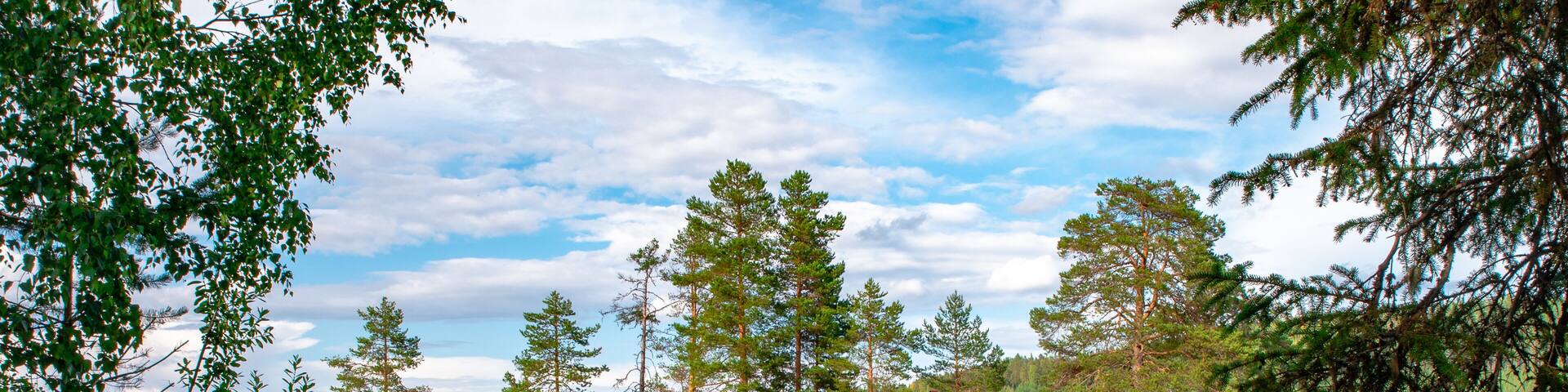 Ein Haus auf einer Insel eines schwedischen Sees im Hälsingland. Davor ein Boot mit einem Rucksack.