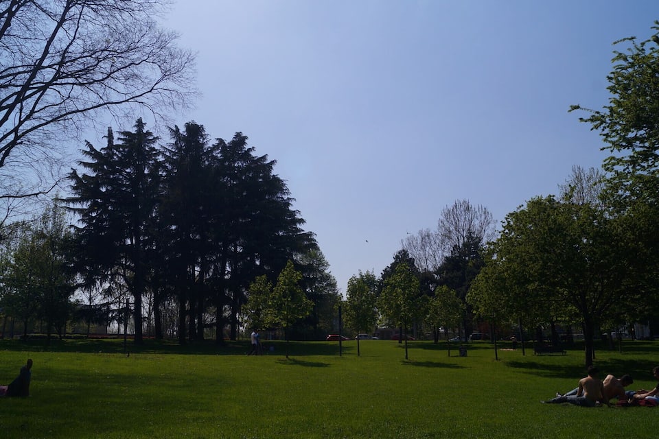 A park with green grass, trees, and people sitting on the grass.