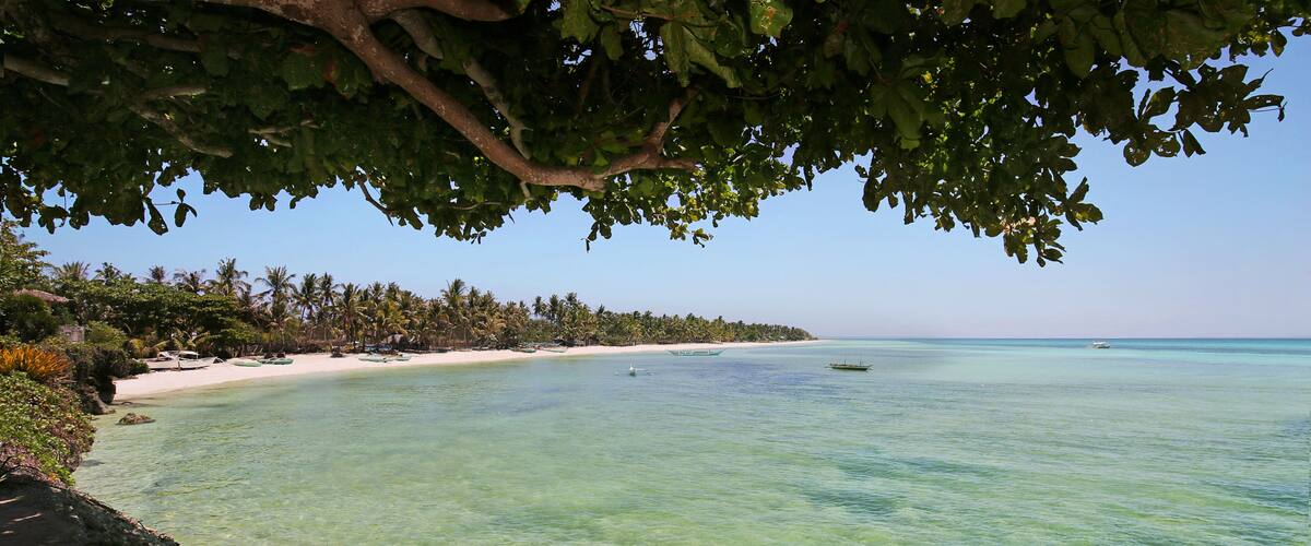 A clear turquoise sea, a sandy beach, and a line of palm trees.