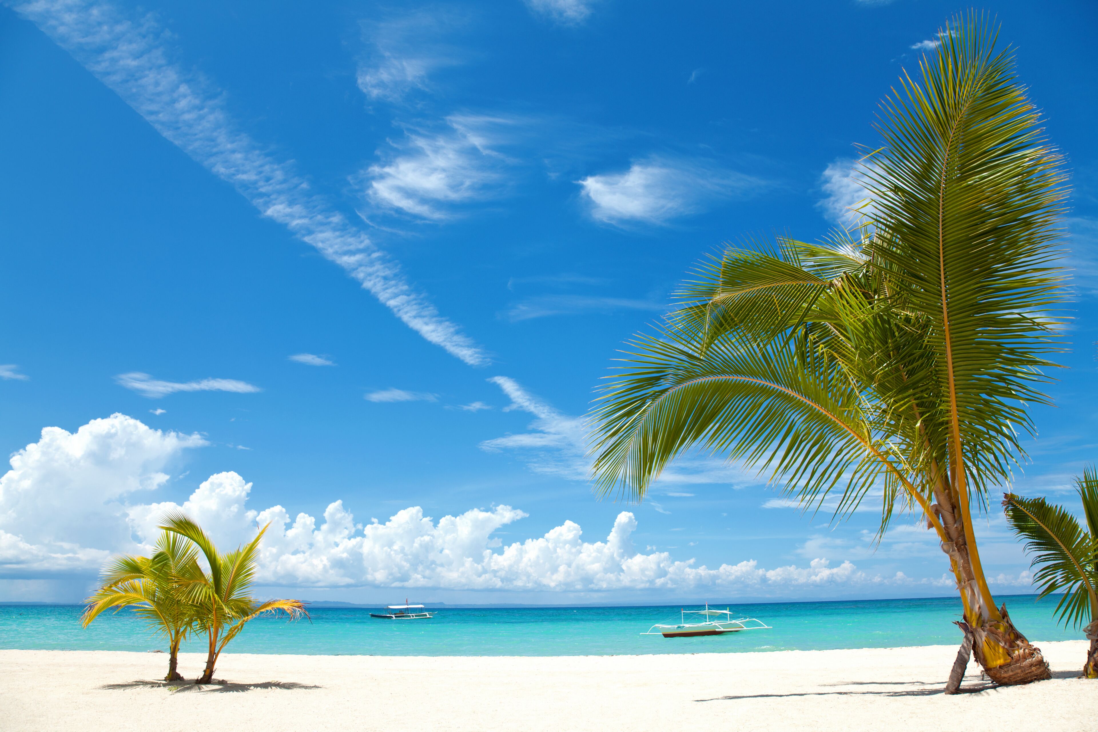 Two palm trees on a beach in Bantayan island, Philippines