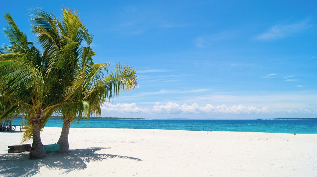 White sand beach in Philippines.