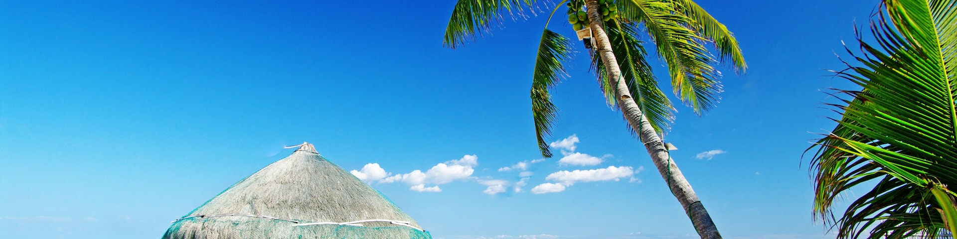 tropical holidays; Shutterstock ID 49018453