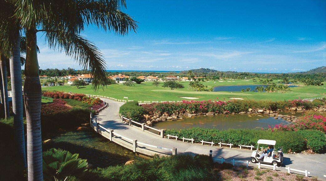 Clifton Beach which includes a park and tropical scenes