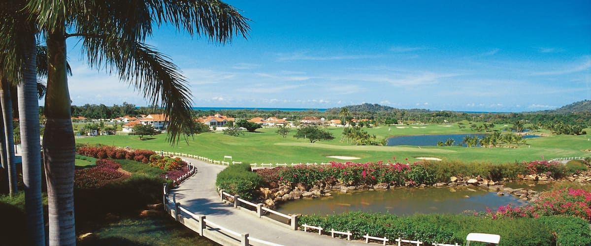 Clifton Beach showing a garden and tropical scenes