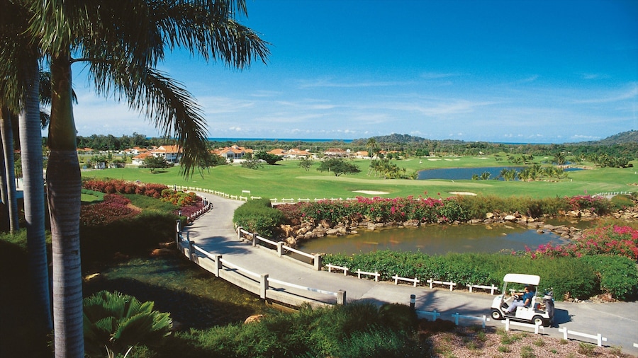 Clifton Beach qui includes scènes tropicales et parc