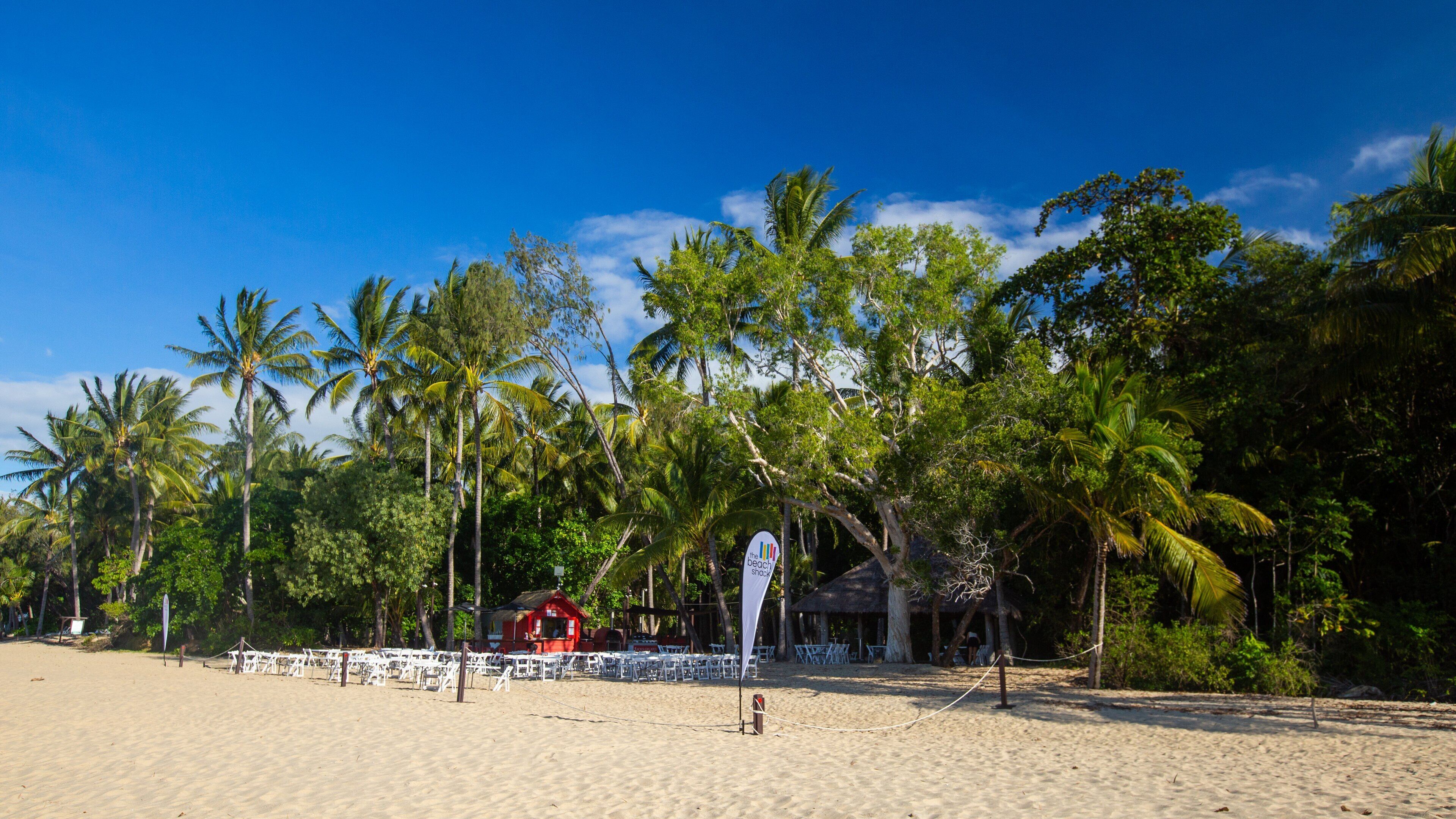 Clifton Beach showing a beach