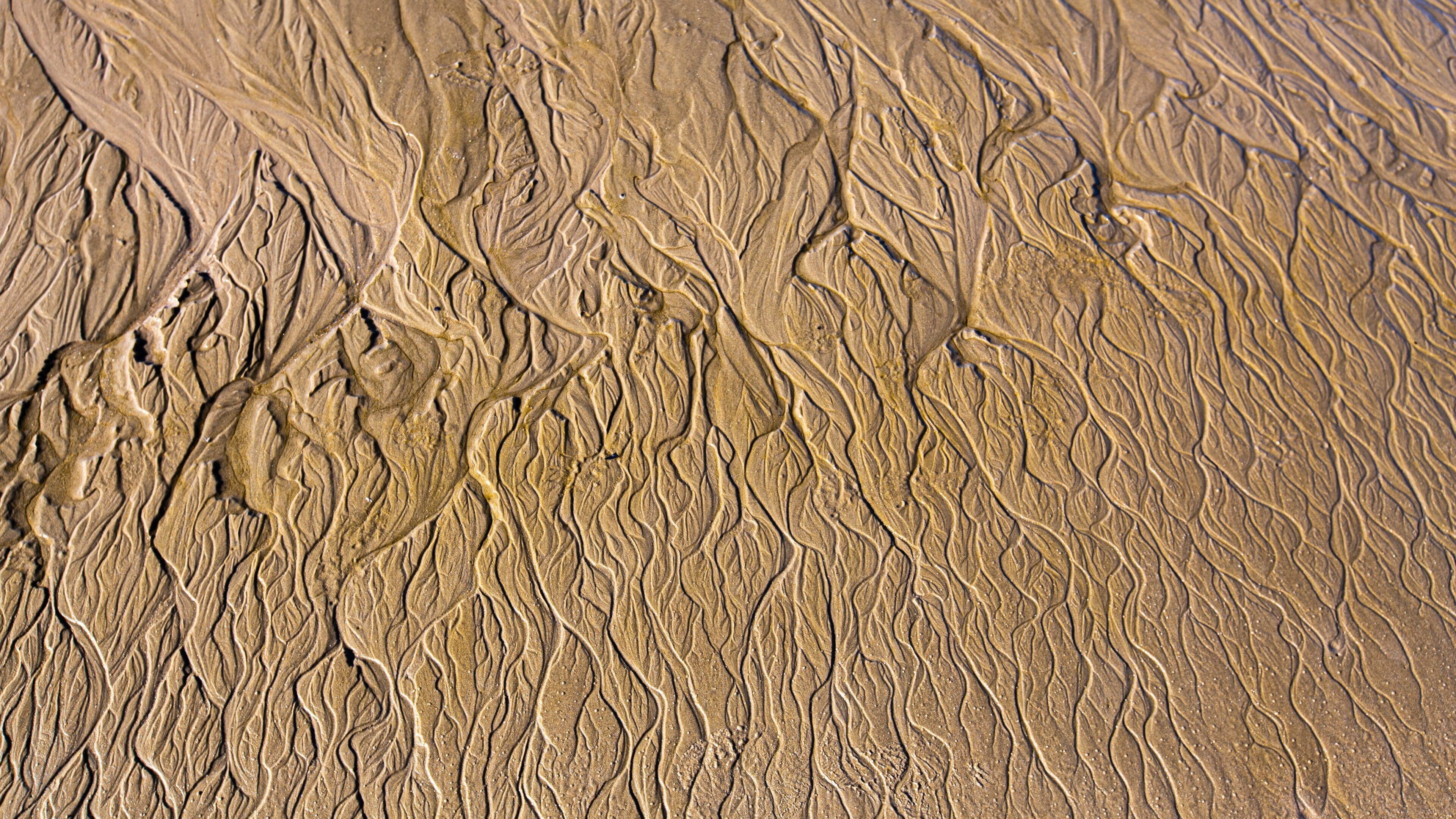Clifton Beach featuring a sandy beach