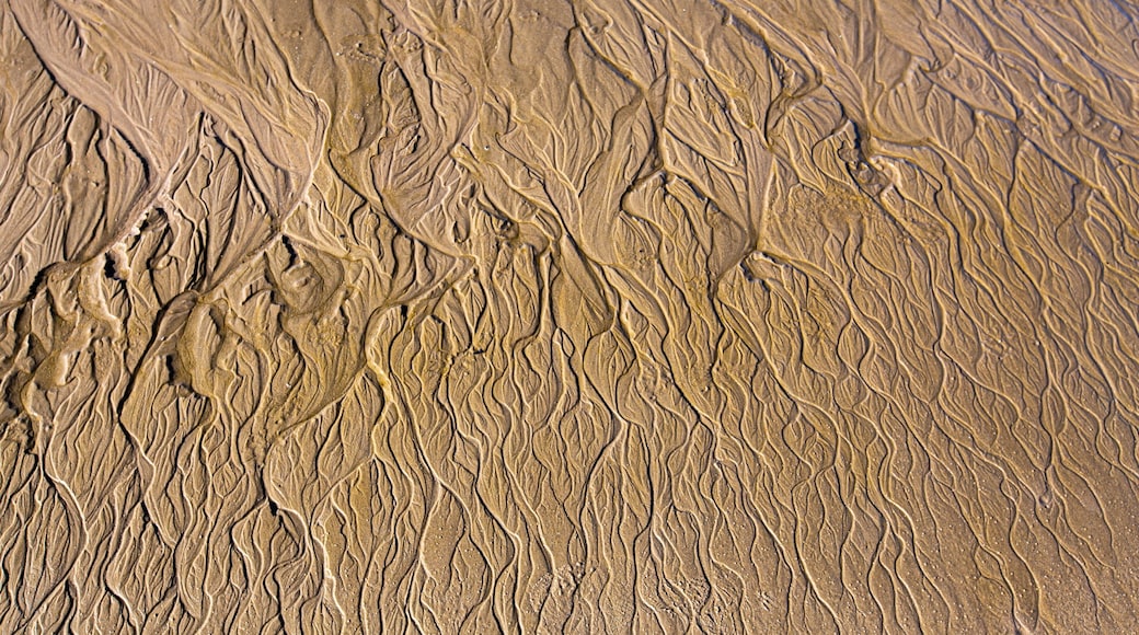 Clifton Beach featuring a sandy beach