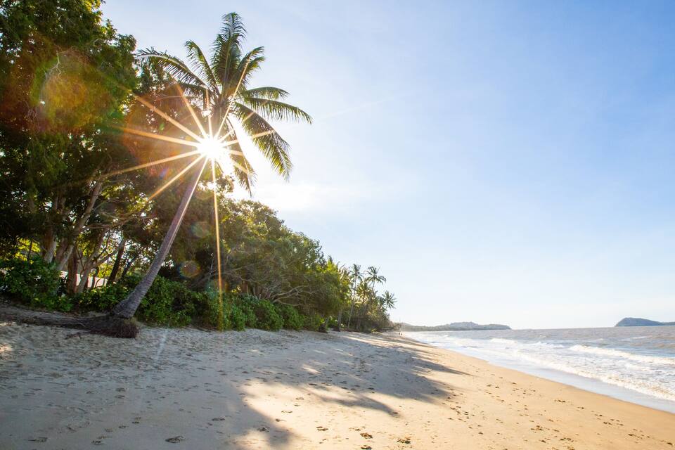 Una playa con palmeras, olas del océano y cielo despejado.