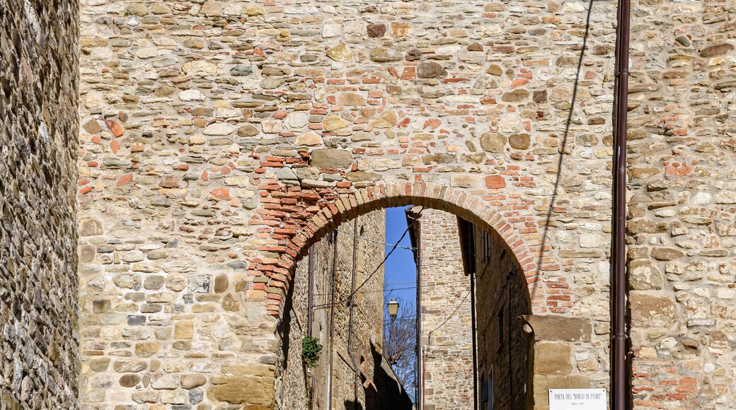 馬切拉塔費爾特里亞